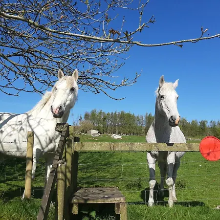 Abhainn Ri Blessington