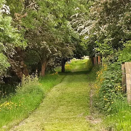 Bed & Breakfast Abhainn Ri Blessington