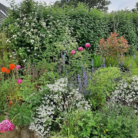 Bed & Breakfast Abhainn Ri Blessington