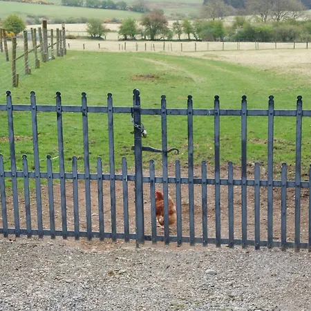 Abhainn Ri Blessington