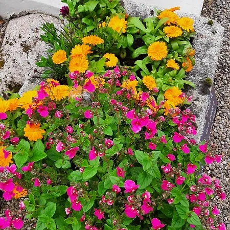 Abhainn Ri 5* Blessington