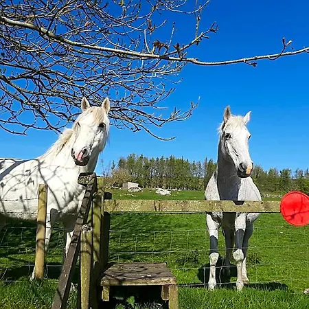 Abhainn Ri Panzió 5*