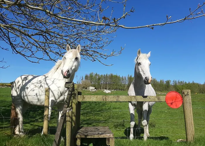 Abhainn Ri Farmhouse Блессингтон