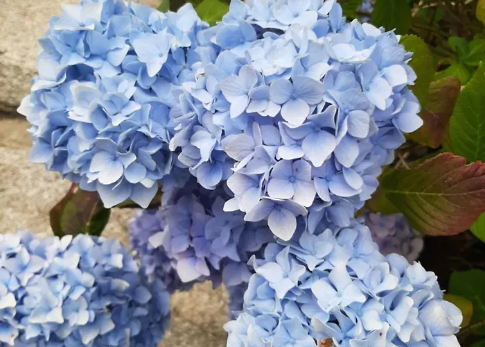 Abhainn Ri Farmhouse Отель типа 