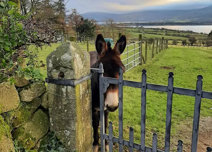 Abhainn Ri Farmhouse Отель типа 