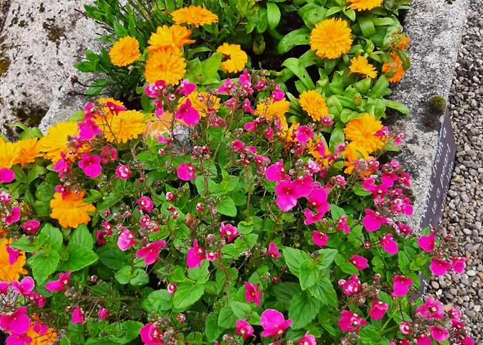 Abhainn Ri Farmhouse 5* Блессингтон